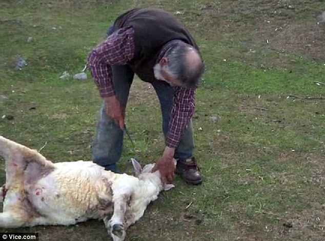 ����81�����̶�����ɽ46��