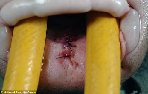 ������˵����� �����һ�������� ��ͼ��