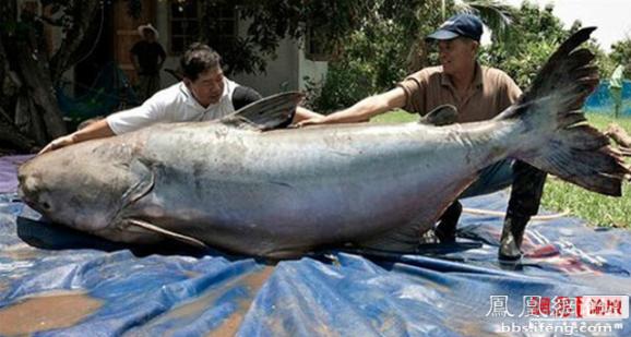 �����𾪵ľ������� �����������Ȥͼ��