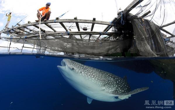 ������磺���ž�ѡ��Ƭ���㿴���磨ͼ��