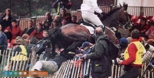 ץ�ľ��Ķ��ǵĶ��˲��(��ͼ)