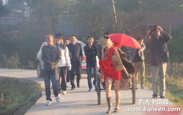 ��ʶ��ũ���ʱ�ж����� ɫ��������������(��ͼ)