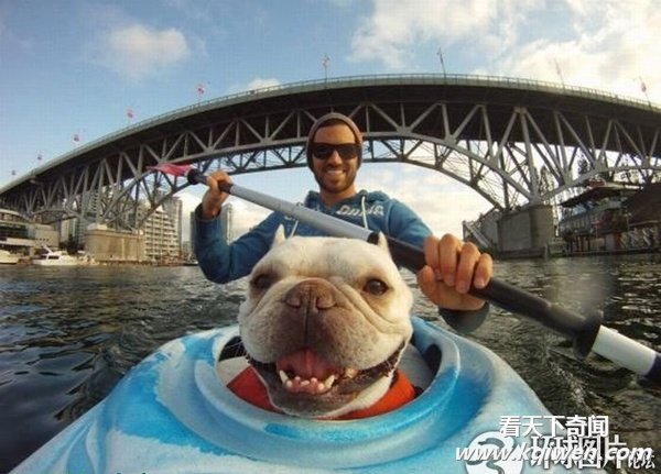 ץ����������Ŀ��Ÿ��˲�� ���˾�ϲ����(��ͼ)