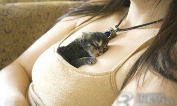 ��Ů������������ĳ����˹���ͼ�� ������ذ�(��ͼ)