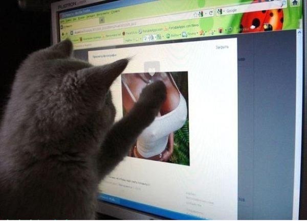 ÿһ�ż�Ʒ����ͼƬ���������Ҳ�һ��(������ͼ89P)