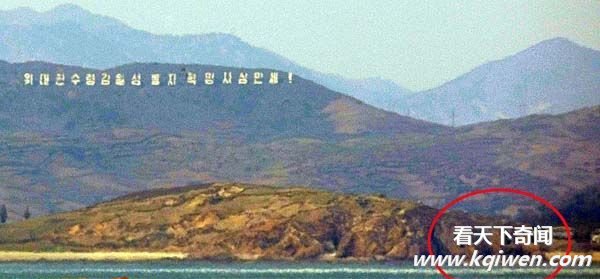 ���������໥�ڻ�¼���ع� ����280��ö�ڵ� ����������߾���