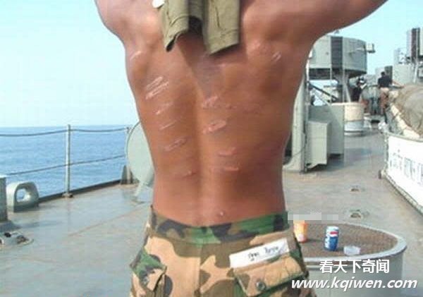 ʵ��̩���������ӵ�ħ��ѵ��ȫ���Ű�ֳ�(��ͼ)