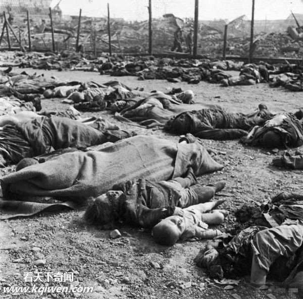 �����ɴ⼯��Ӫ��״��������ź�����ʬ��(��ͼ)