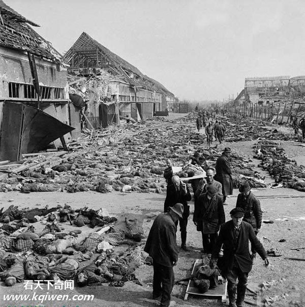 �����ɴ⼯��Ӫ��״��������ź�����ʬ��(��ͼ)